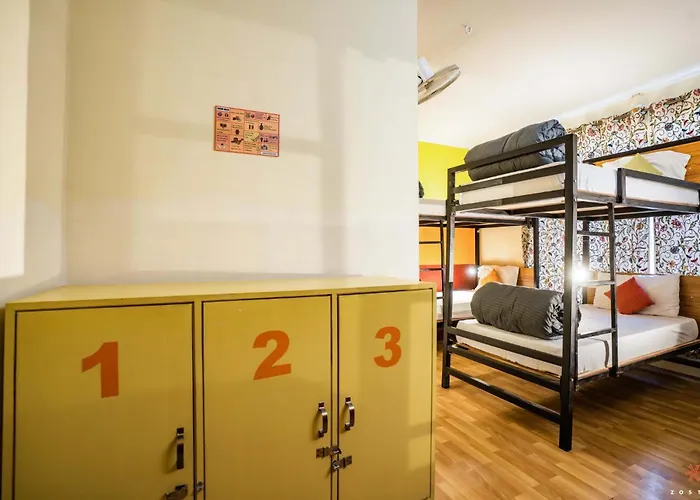 Zostel Srinagar Hostel